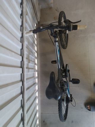 Bicicleta Free Rider 20" Niño