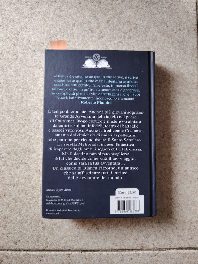 La bambina col falcone