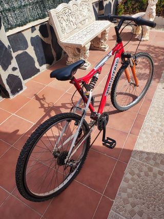 Bicicleta montaña World Team (Leer la descripción)