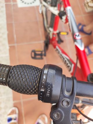 Bicicleta montaña World Team (Leer la descripción)