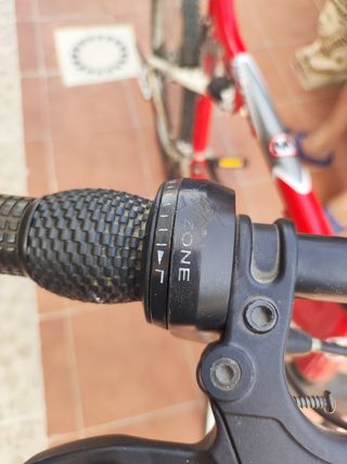 Bicicleta montaña World Team (Leer la descripción)