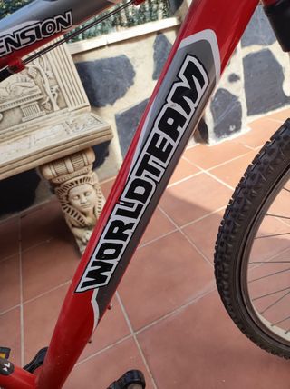 Bicicleta montaña World Team (Leer la descripción)