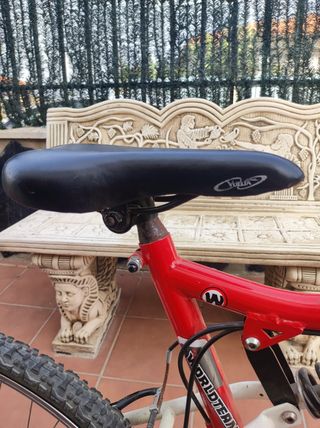 Bicicleta montaña World Team (Leer la descripción)