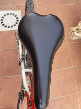 Bicicleta montaña World Team (Leer la descripción)