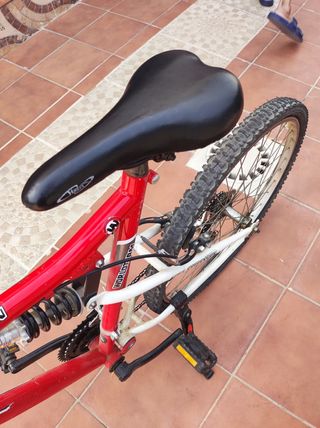 Bicicleta montaña World Team (Leer la descripción)