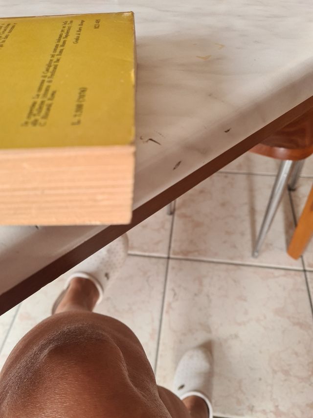 La contessa di Castiglione