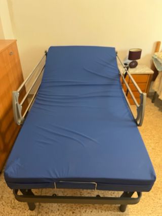 Cama articulada hospitalaria