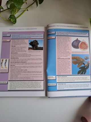 Medicina natural y alternativa