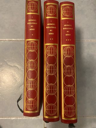 i movimenti rivoluzionari nel mondo