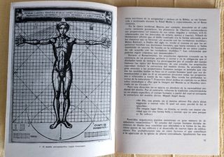 Hacia un ambiente no opresivo: ensayo