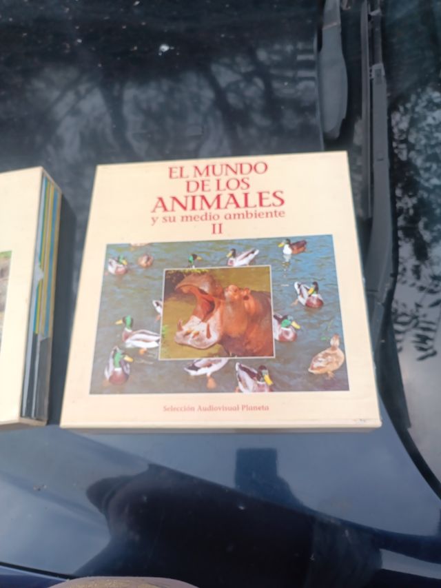 El Mundo de los Animales II