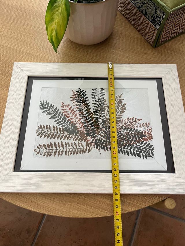 Cuadro con helechos - 36cm