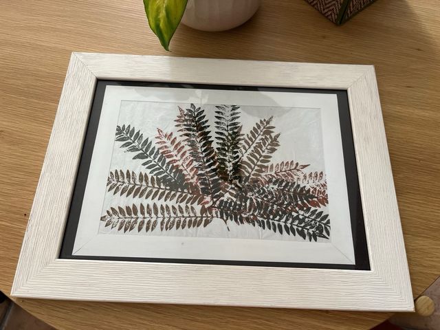 Cuadro con helechos - 36cm