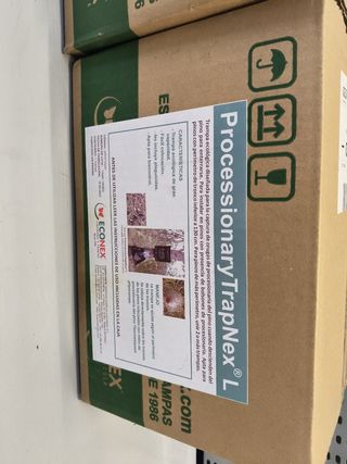 Trampas ecológicas procesionaria