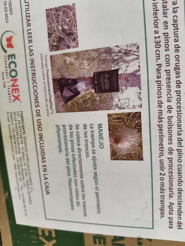 Trampas ecológicas procesionaria