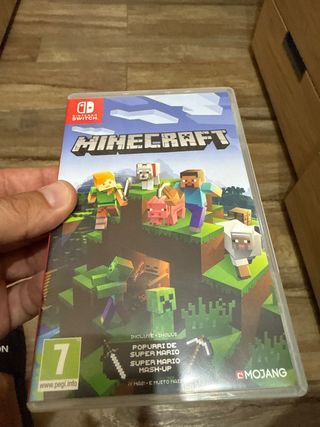 Minecraft Nintendo Switch
