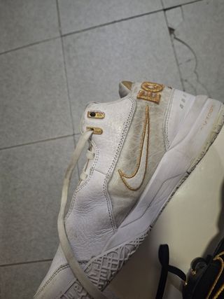 Zapatillas Nike LeBron Nxxt Gen