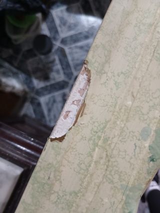 Gran espejo tallado estilo clásico