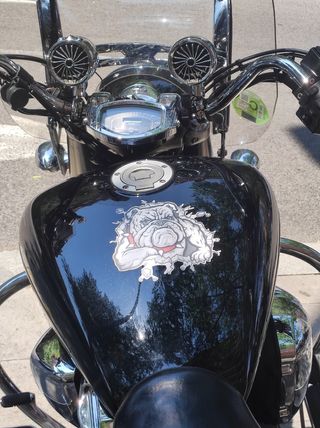 Yamaha Midnight Star 1300cc año 2007