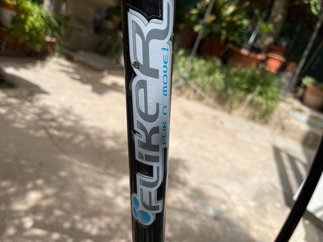 Patinete doble Flyer, plegable