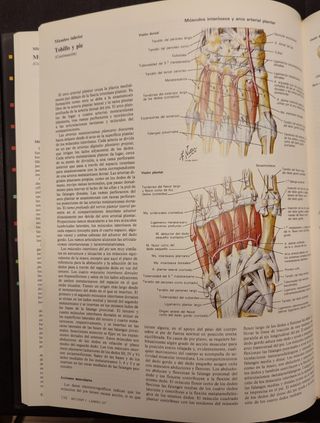 ILUSTRACIONES MEDICAS VOL. 8.1 .