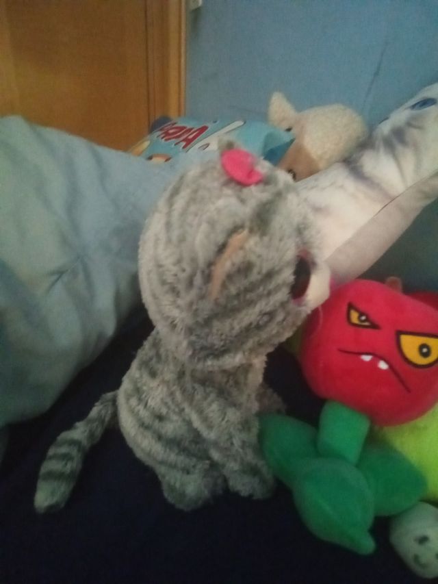 Gatto Peluche Grigio Ty Beanie Boo