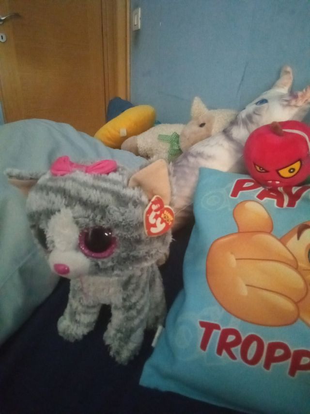 Gatto Peluche Grigio Ty Beanie Boo