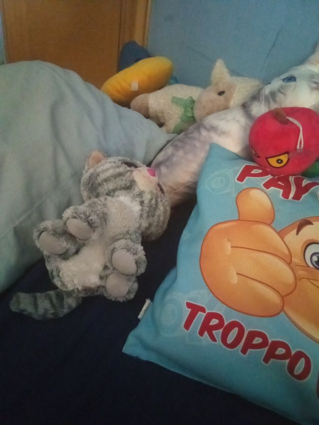 Gatto Peluche Grigio Ty Beanie Boo