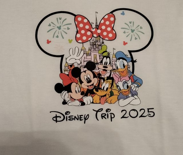 Camiseta Disney Trip 2025