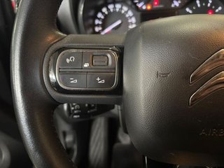 Citroën C3 Aircross PureTech 81kW (110CV) S&amp;S C-Series