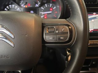 Citroën C3 Aircross PureTech 81kW (110CV) S&amp;S C-Series