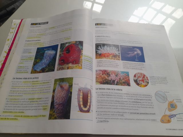 Biologia y geologia 1 eso editorial edelvives