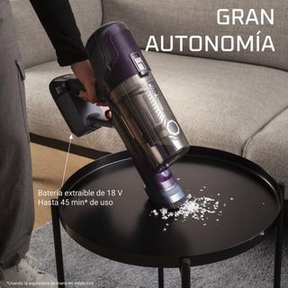 Rowenta XPert 6.60 - Aspiradora escoba