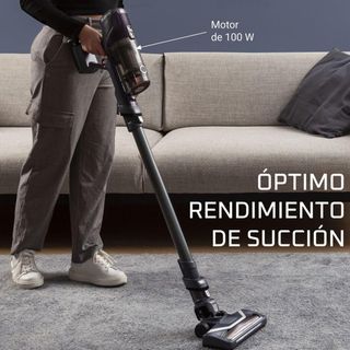 Rowenta XPert 6.60 - Aspiradora escoba