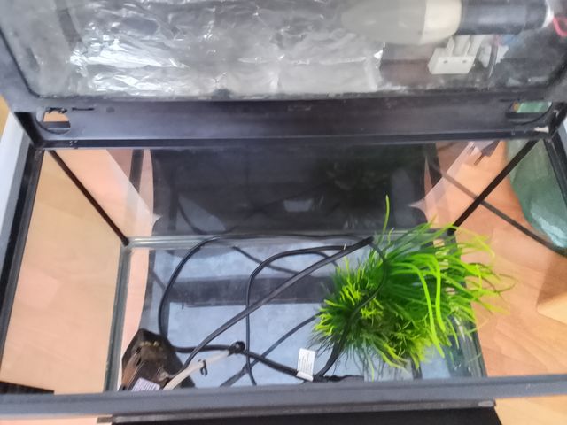 Acuario pequeño 20L