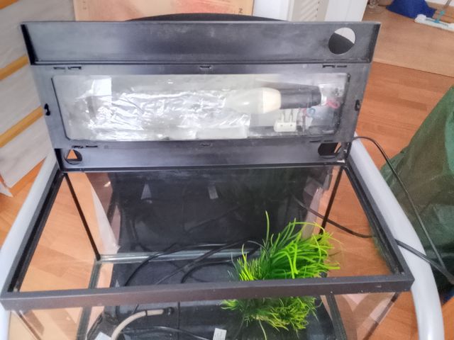 Acuario pequeño 20L