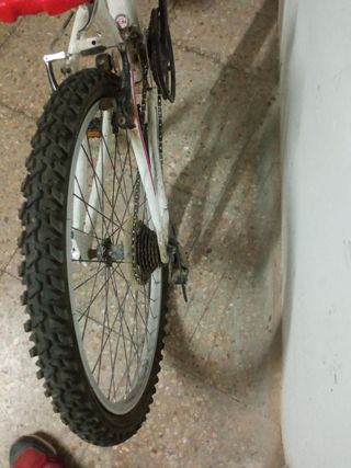 Bicicleta 24