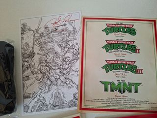 Teenage Mutant Ninja Turtles Blu-ray 25 Anniver.