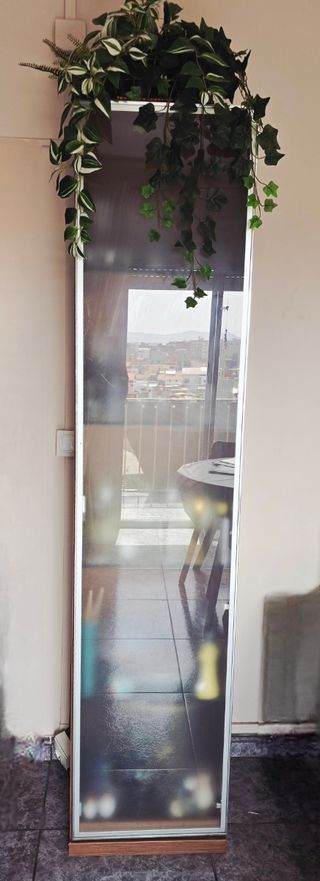 Vitrina en madera de Castaño y crista