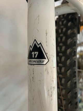 Bicicleta montaña Specialized