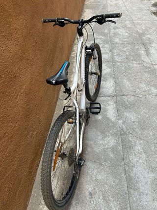 Bicicleta montaña Specialized