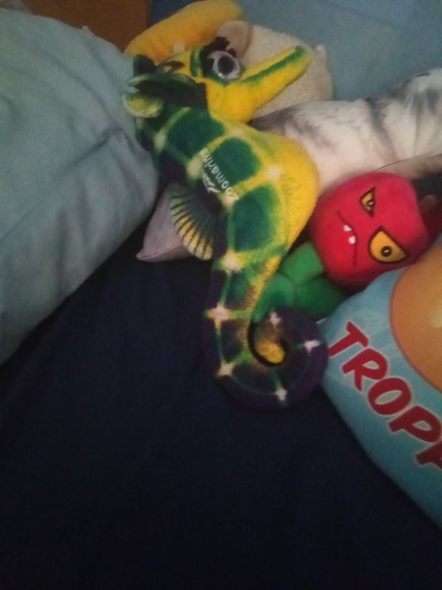 Peluche Cavalluccio Marino