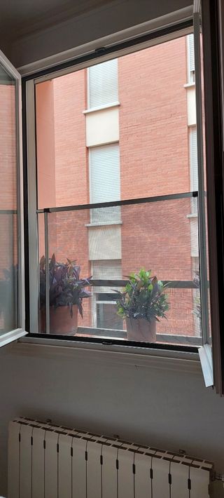 3 Mosquiteras extensibles 75-100/192cm