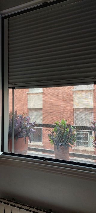 3 Mosquiteras extensibles 75-100/192cm