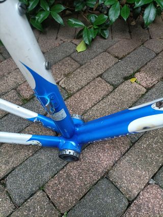 Telaio bici Colnago Dream Plus 56