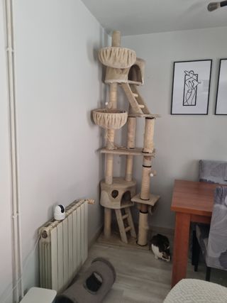 Arbol rascador para gatos