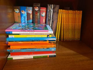 Lote Geronimo Stilton (21 libros) + otros infantil