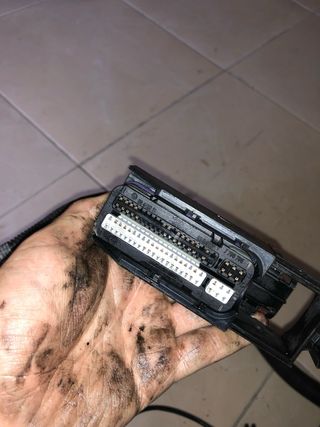 CABLEADO MOTOR BMW M47 204D4
