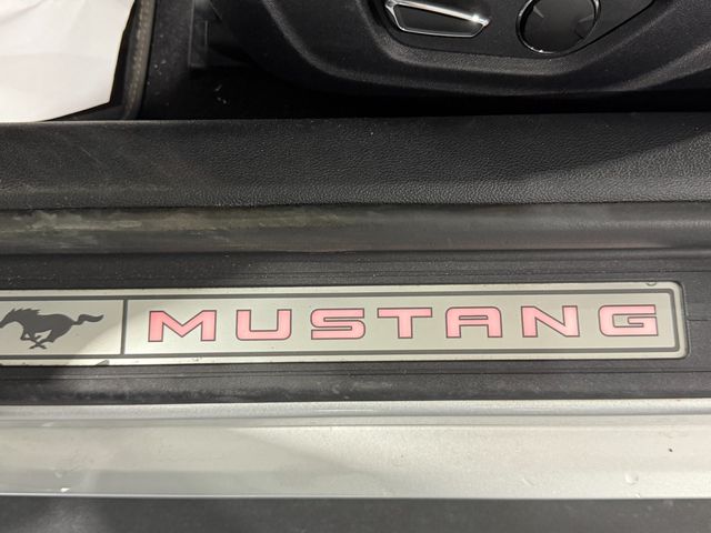 Ford Mustang 5.0 Ti-VCT V8 331kW Mustang GT (Fastb.)