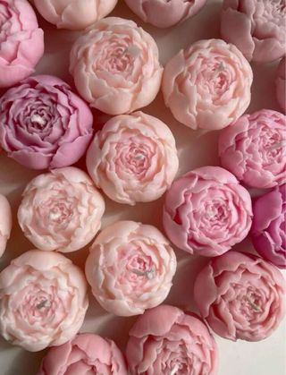 Candele  peonia 